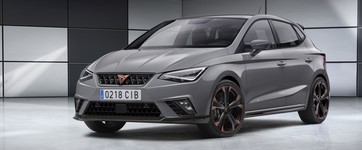 Manuales e informacion de servicio de Seat Ibiza