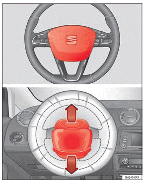 Seat Ibiza. Airbags