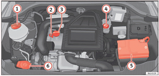 Seat Ibiza. Trabajos en el vano motor